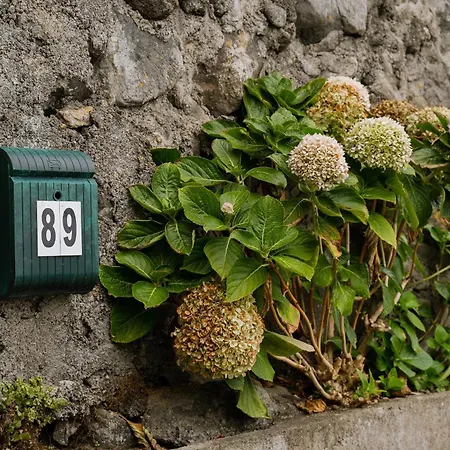 شقة Casa Dos Avos *