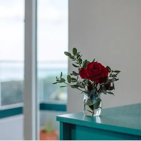 Casa Dos Avos Appartement São Vicente